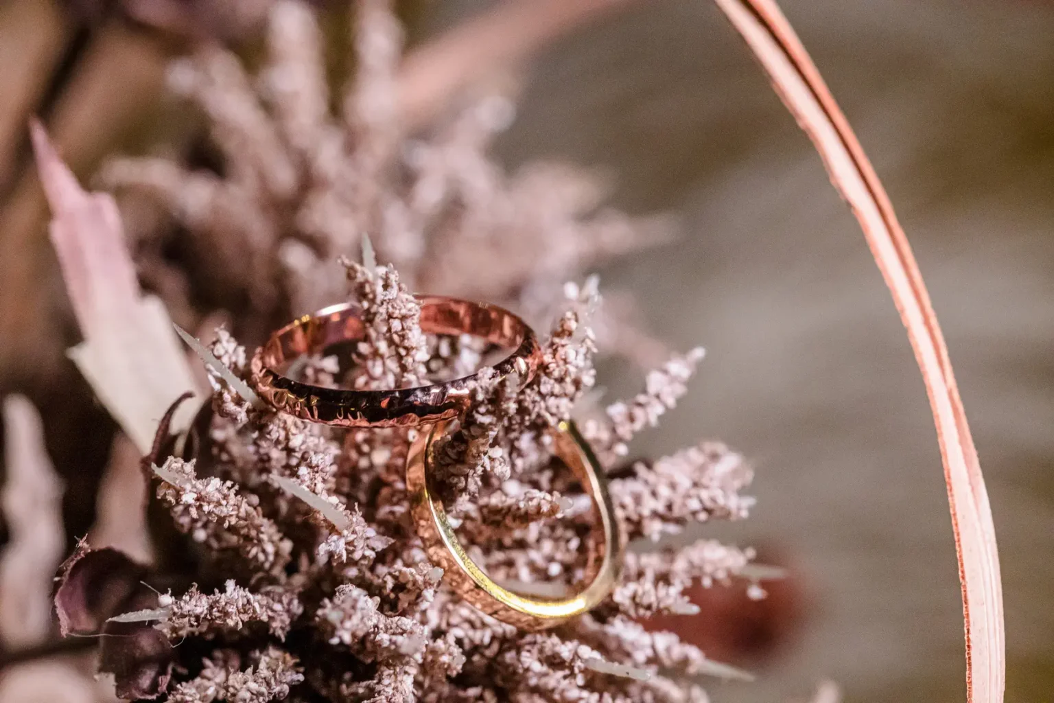 Φωτογραφιση γαμου κτημα ιπποστασιο μειμαριδη 2996 - κτήμα Ιπποστασιο Μειμαρίδη, Ιπποστασίου Μεϊμαρίδη