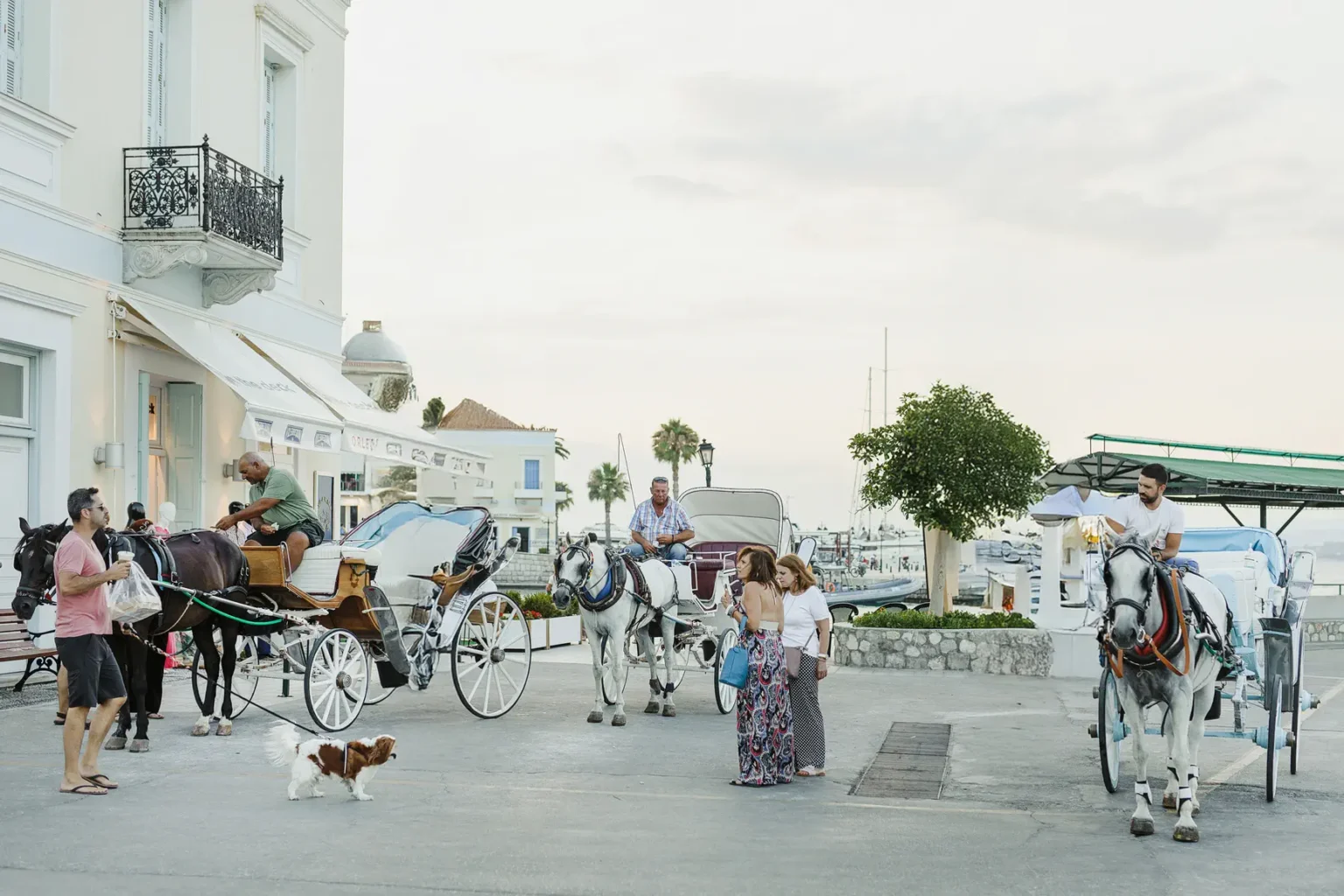 2416 Φωτογραφηση βαπτισης σπετσες
